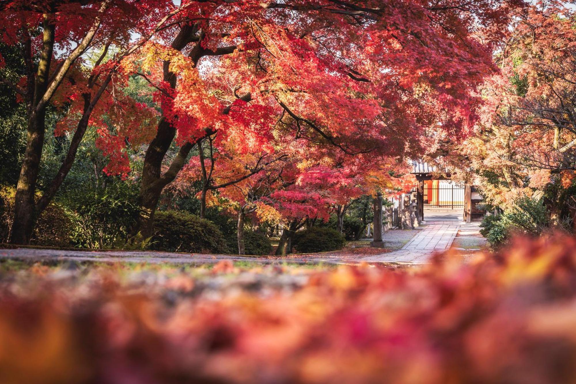 Omo5 Kyoto Gion By Hoshino Resorts Exterior foto